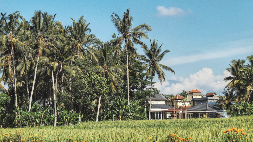 The Beginner’s Guide to Ubud in Bali